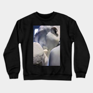 The Kiss (close-up) Crewneck Sweatshirt